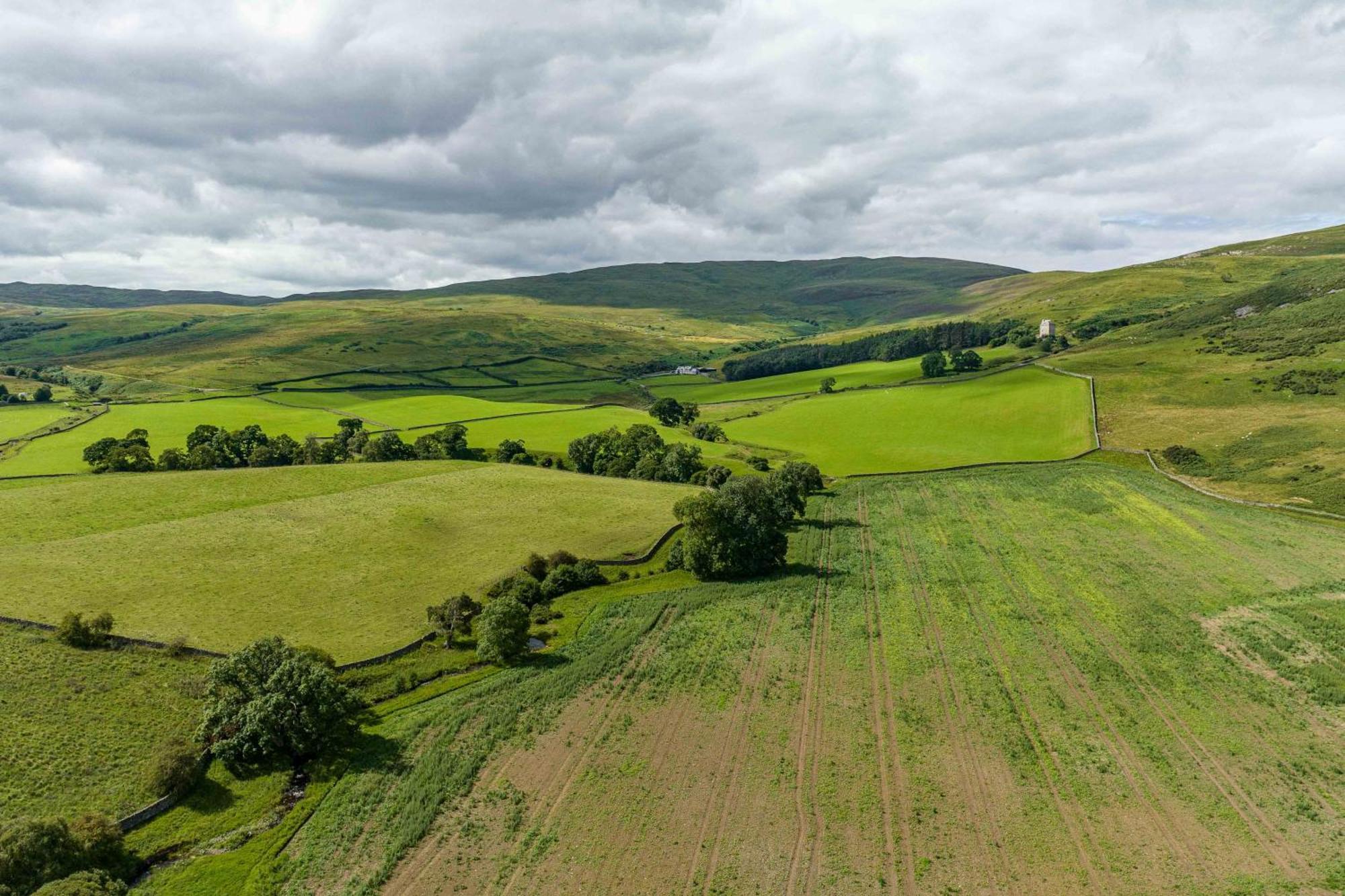 The Barn At Dormouse Cottage Selkirk Bagian luar foto