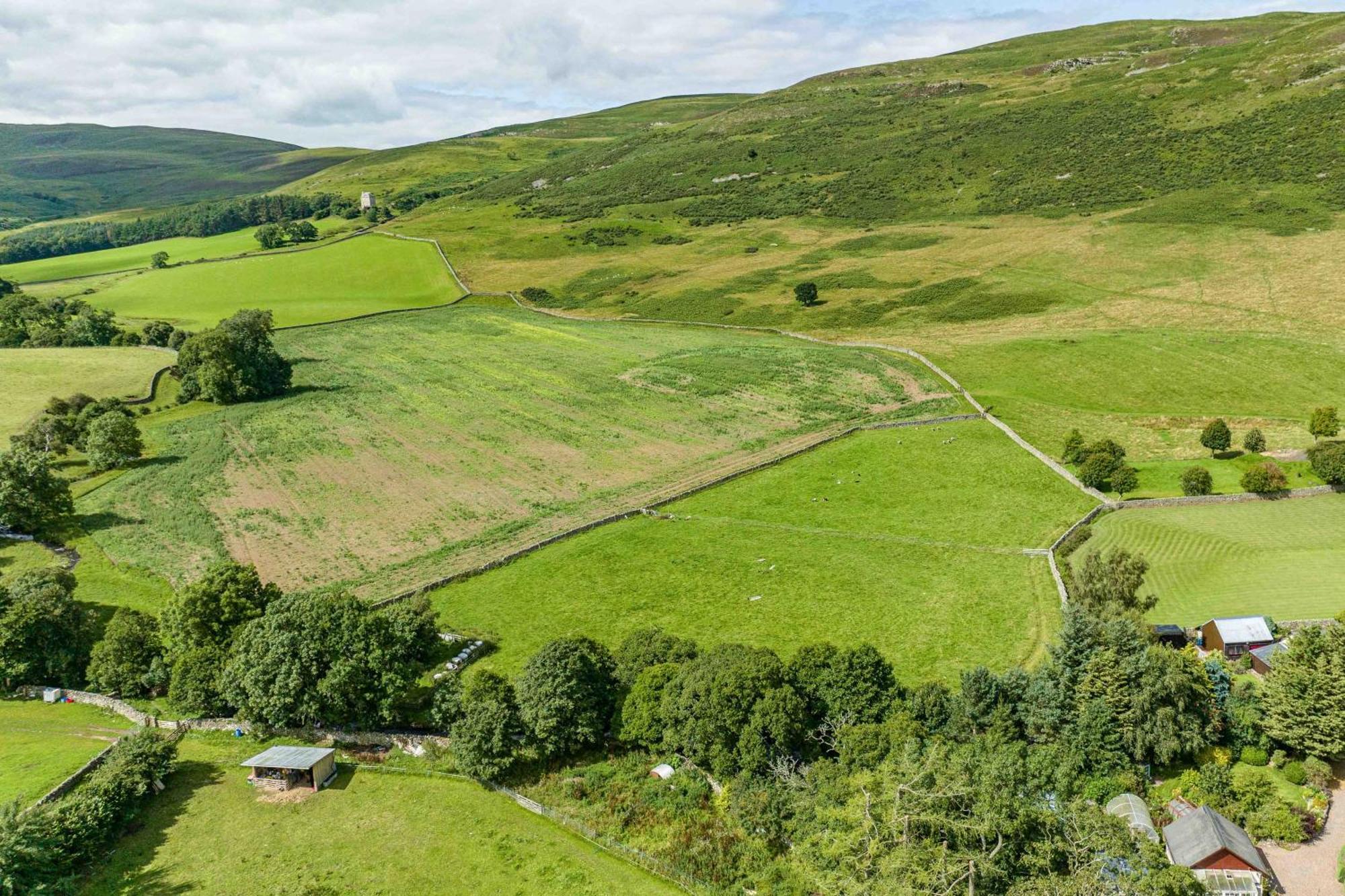 The Barn At Dormouse Cottage Selkirk Bagian luar foto